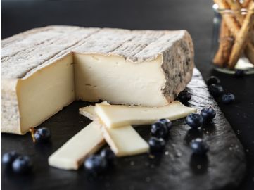 Taleggio DOP | Seltener Käse aus Italien