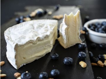 Brie de Coulommiers - Weichkäse Frankreich