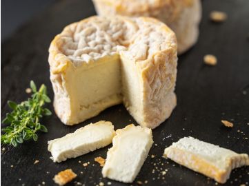 Langres Weichkäse Frankreich - Käse mit Mulde