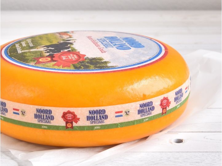 Gouda Jung aus Noord Holland