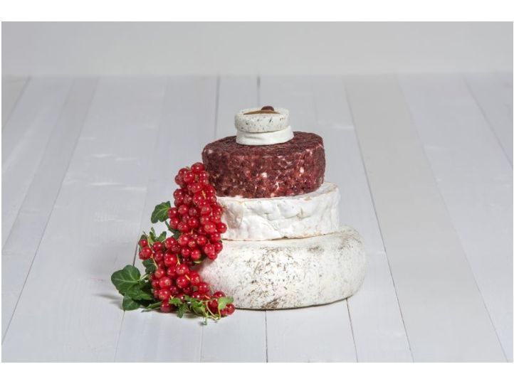 Probierpaket | Käse-Hochzeitstorte "Josefine"